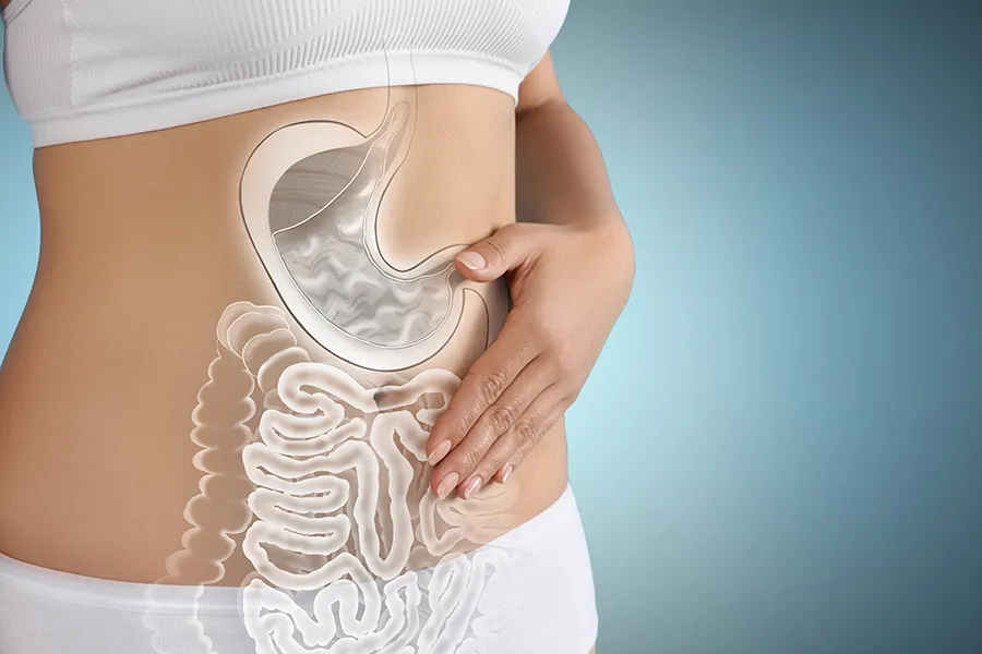 Gut-Health-Doctor Close up of the midriff of a woman with white underwear and an illustration of the digestive system superimposed over the image. Get help for digestive issues and gut health from Better Life Carolinas of Mount Pleasant in Charleston Metro.